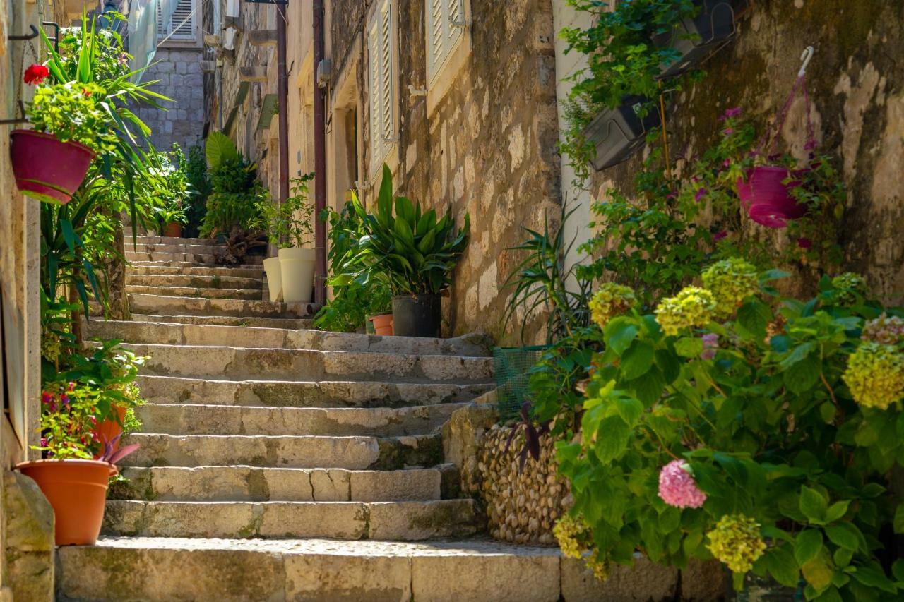 Villa Old Town House With Floor Heating & Lush Private Garden Dubrovnik Exterior foto
